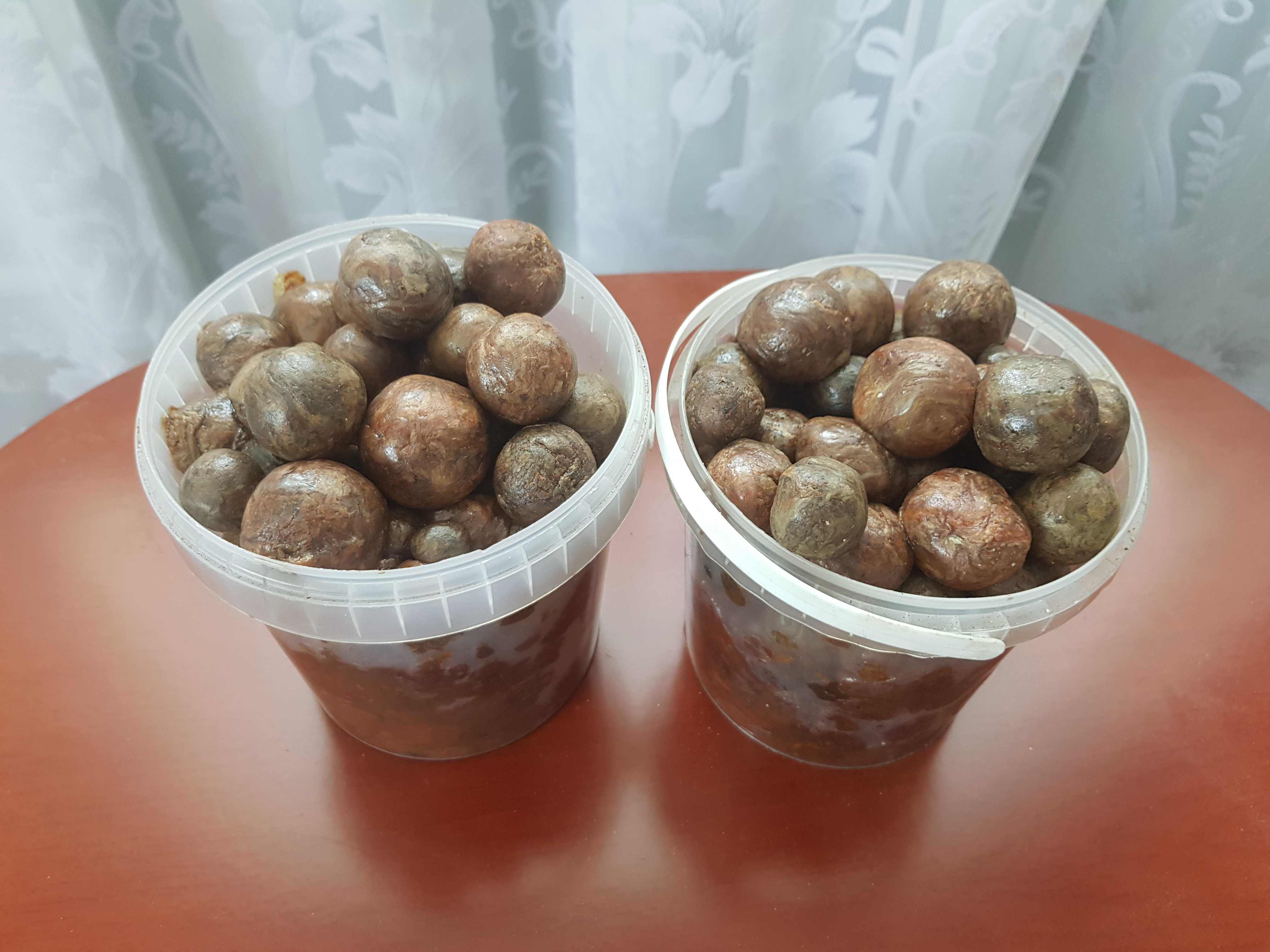 Прополіс бджолиний