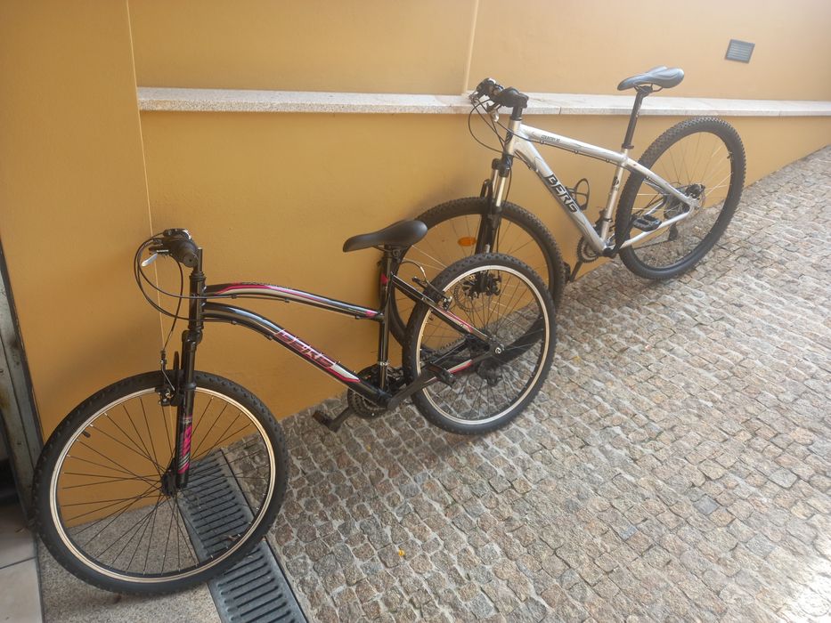 Duas Bicicletas Berg.