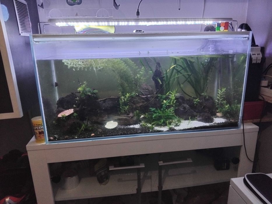 Aquario completo