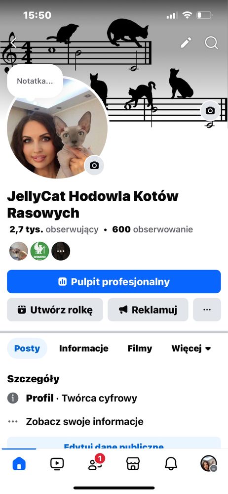 Kotka Ragdoll , rodowod FPL