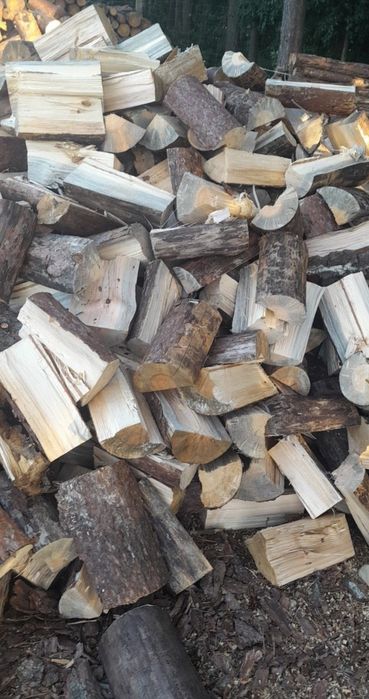 Suche Drewno Opałowe