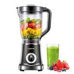 Blender VINATO PB102B