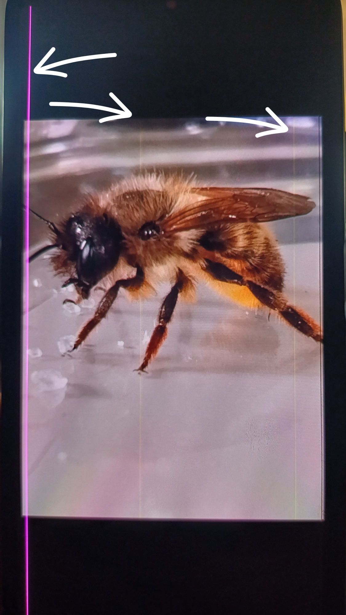 Smartfon Redmi Note 12