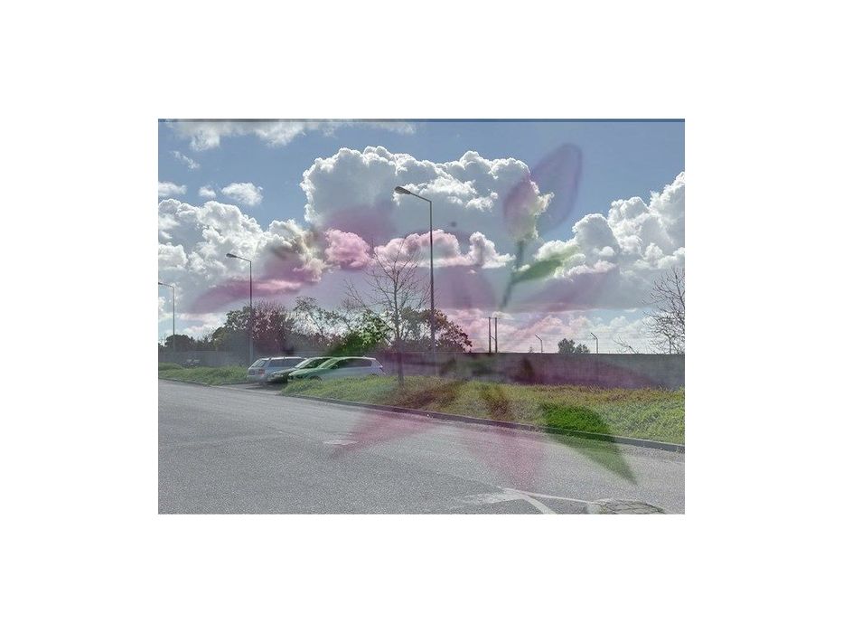 Montijo - Terreno Industrial C/ Viabilidade De Construção P/ 14.000M2