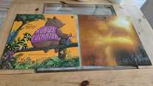 30 plyt winylowych LP Banaszak, Banda i Wanda, Perfect, Vox, Geppert