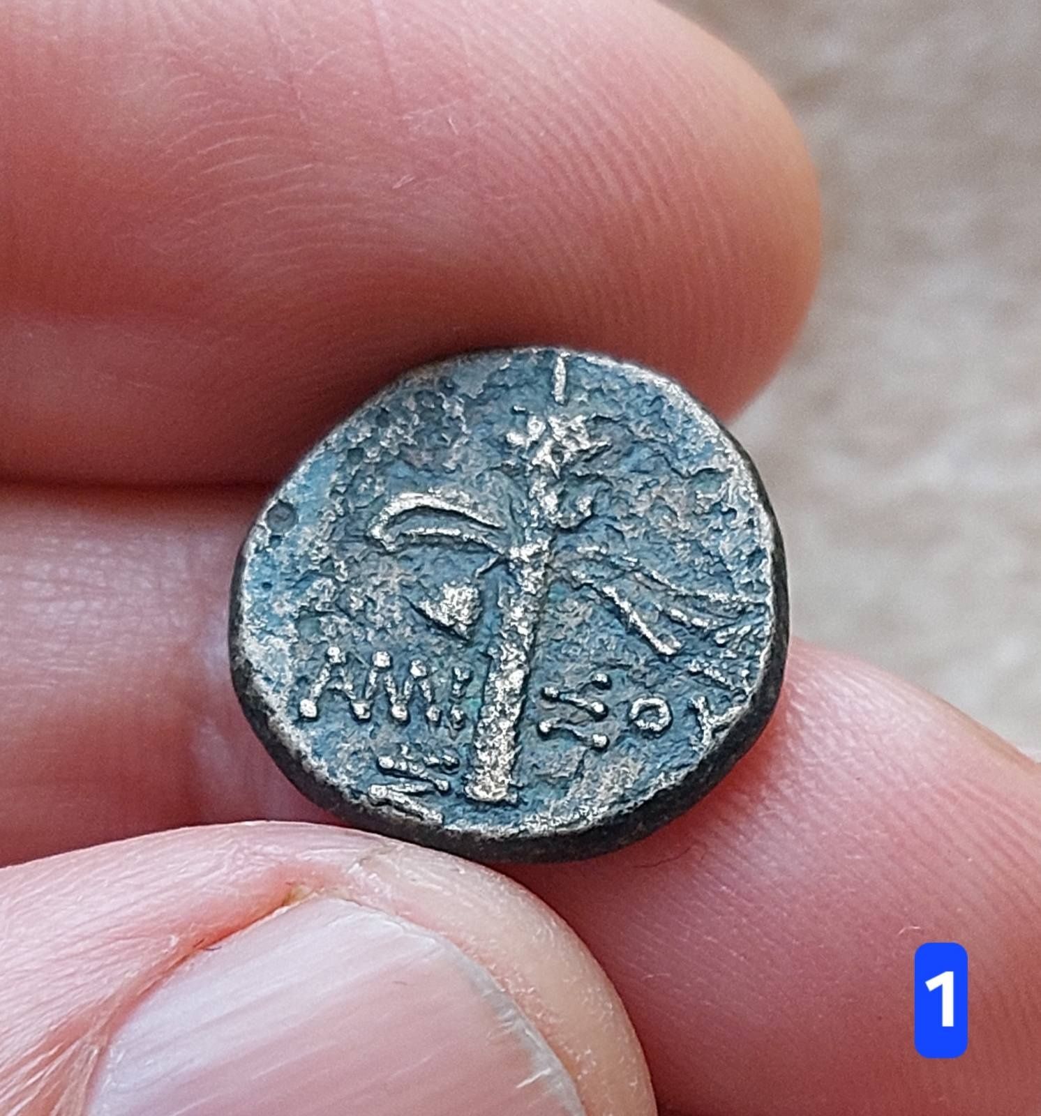 Монети античні Ольвія..