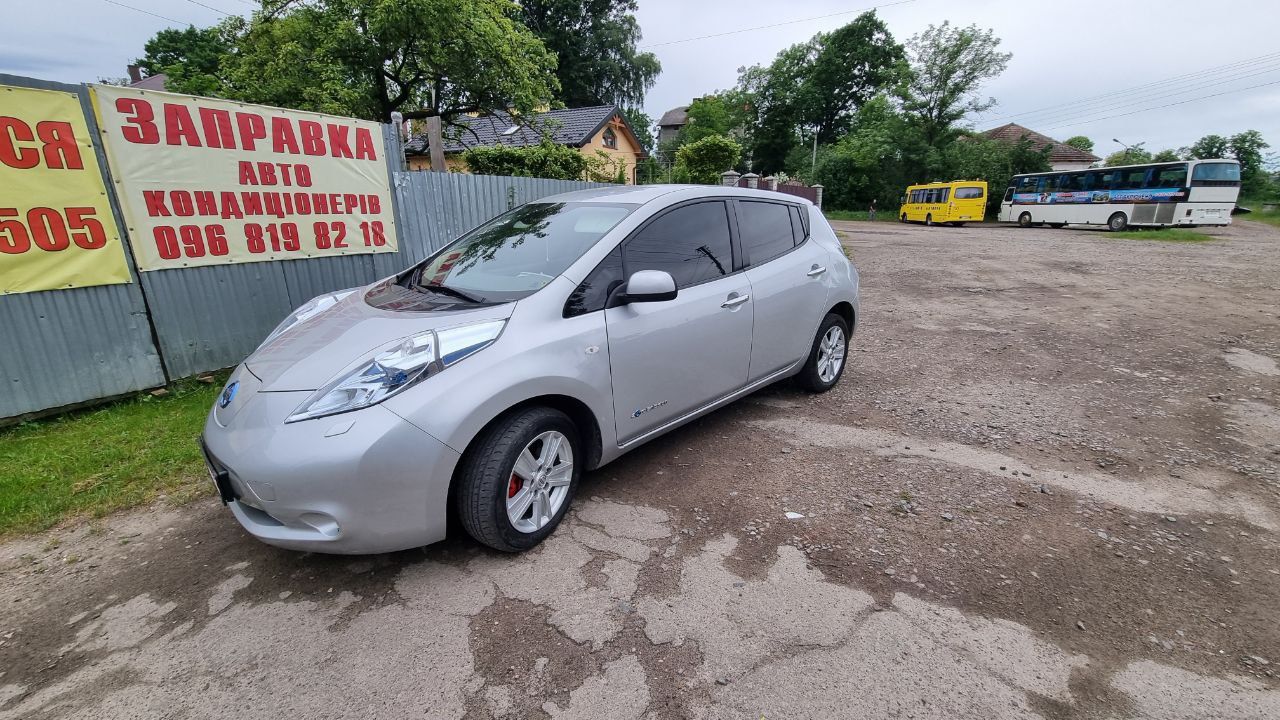 Nisan leaf (2013)
