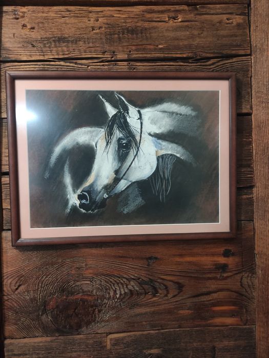 Obraz akwarela koń Białowieża