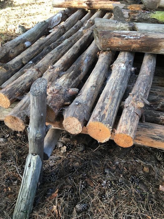 Drewno opałowe sezonowane sosna