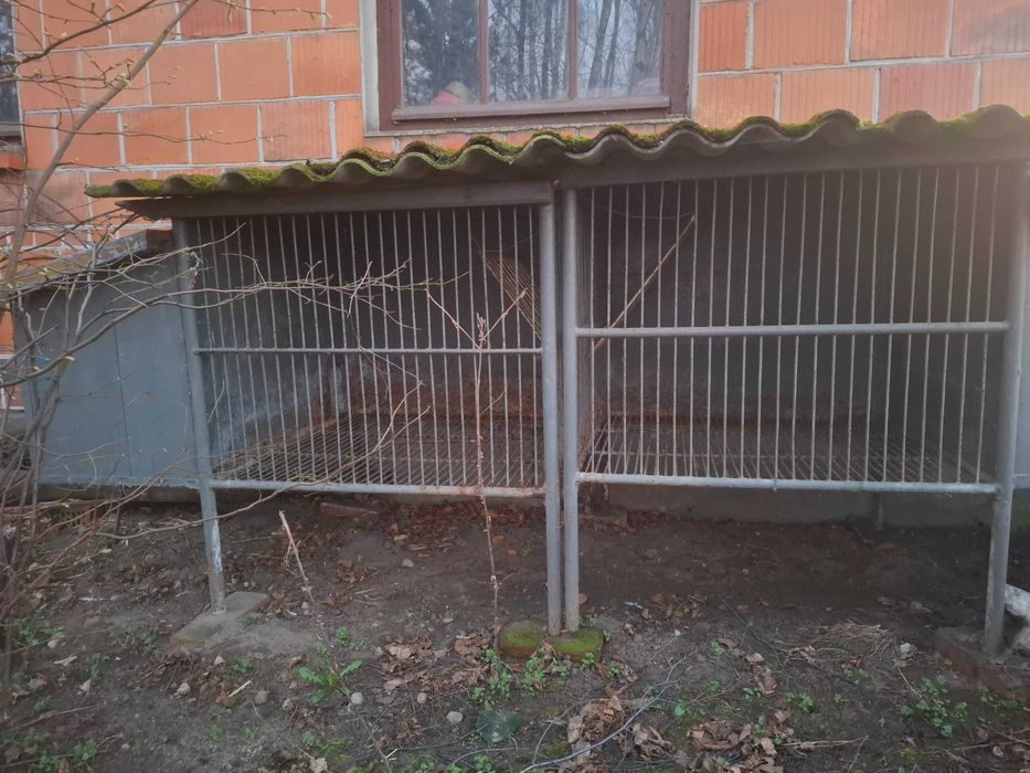 Klatki dla królików
