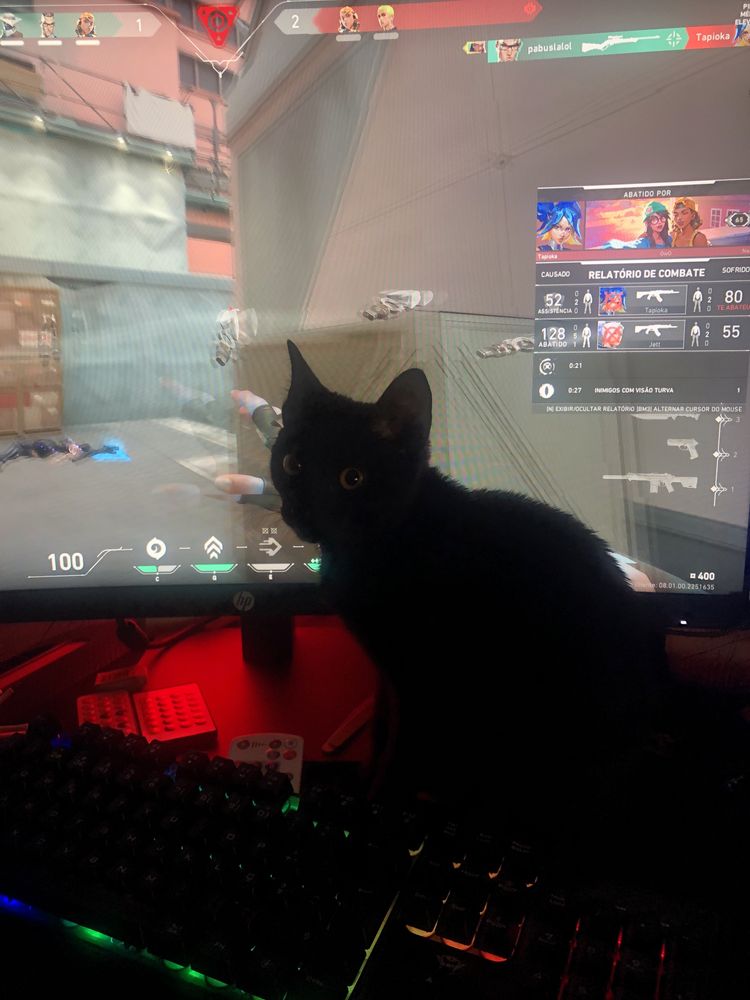 Torre com Monitor