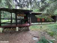 Domek rekreacyjny 55m2+35m2taras/działka 3134m2/Wilkowyja