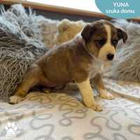 Yuna szuka domu na stałe