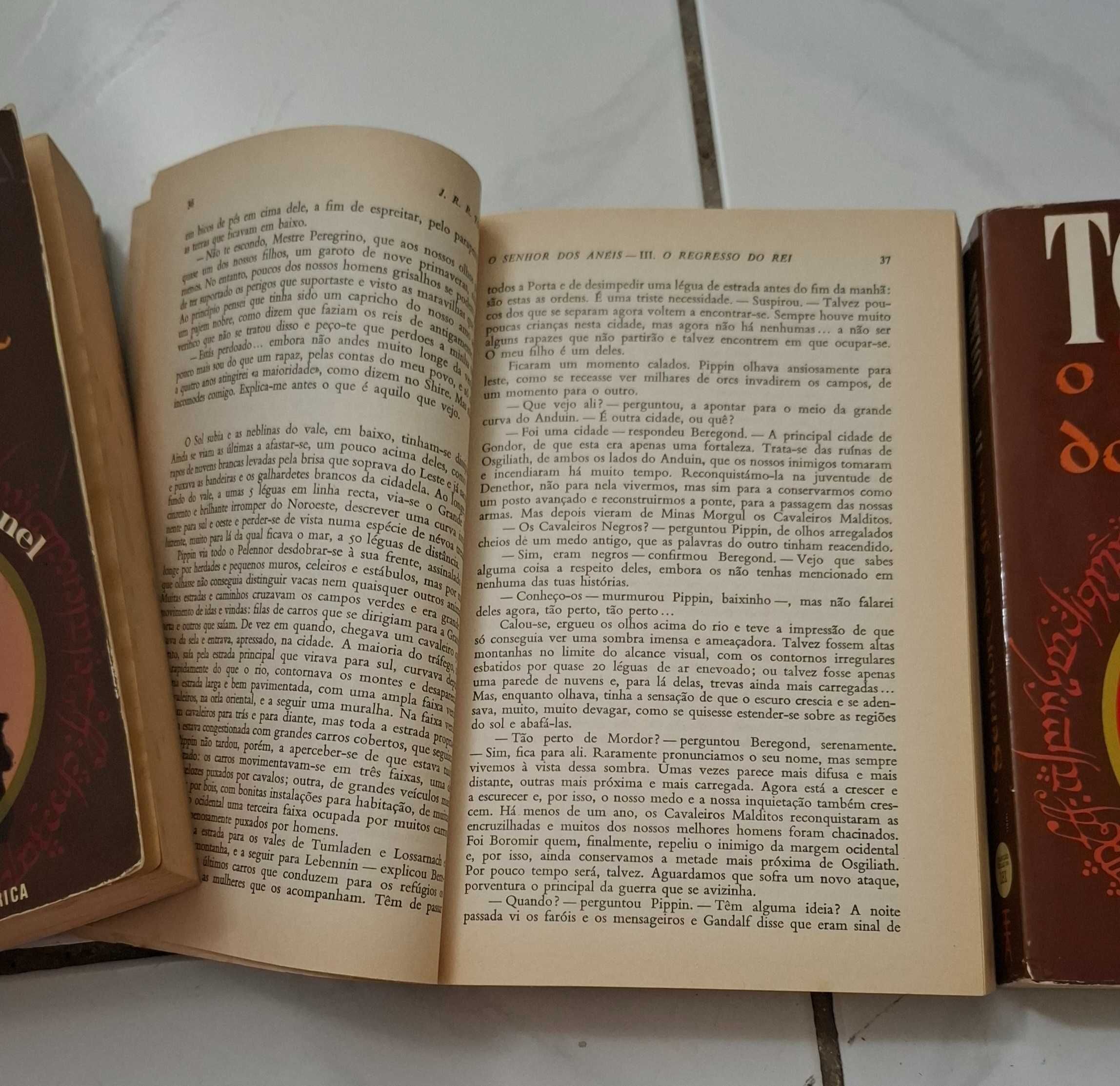 Tolkien O SENHOR DOS ANEIS 3 volumes