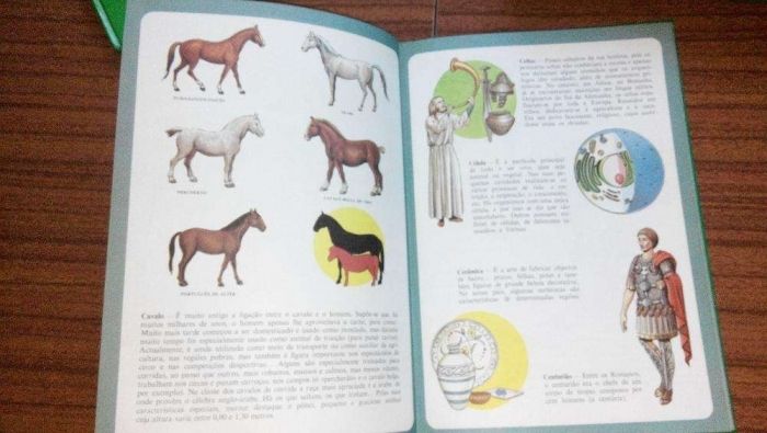 enciclopédia infantil ilustrada