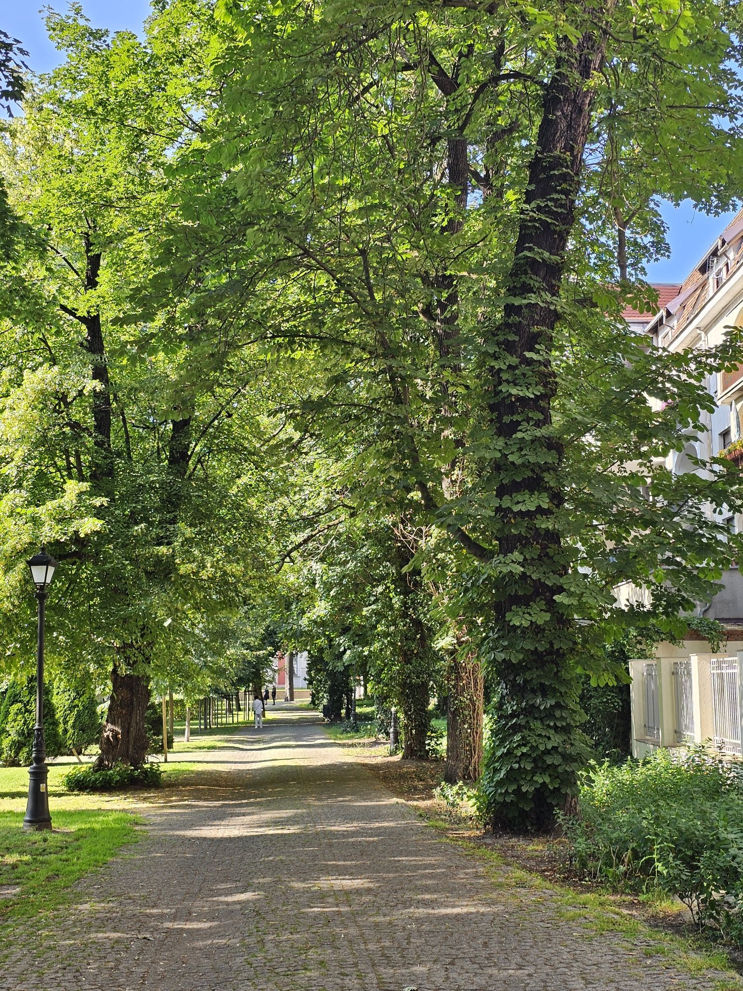 Odtrucia alkoholowe w domu Poznań i okolice Detoks alkoholowy