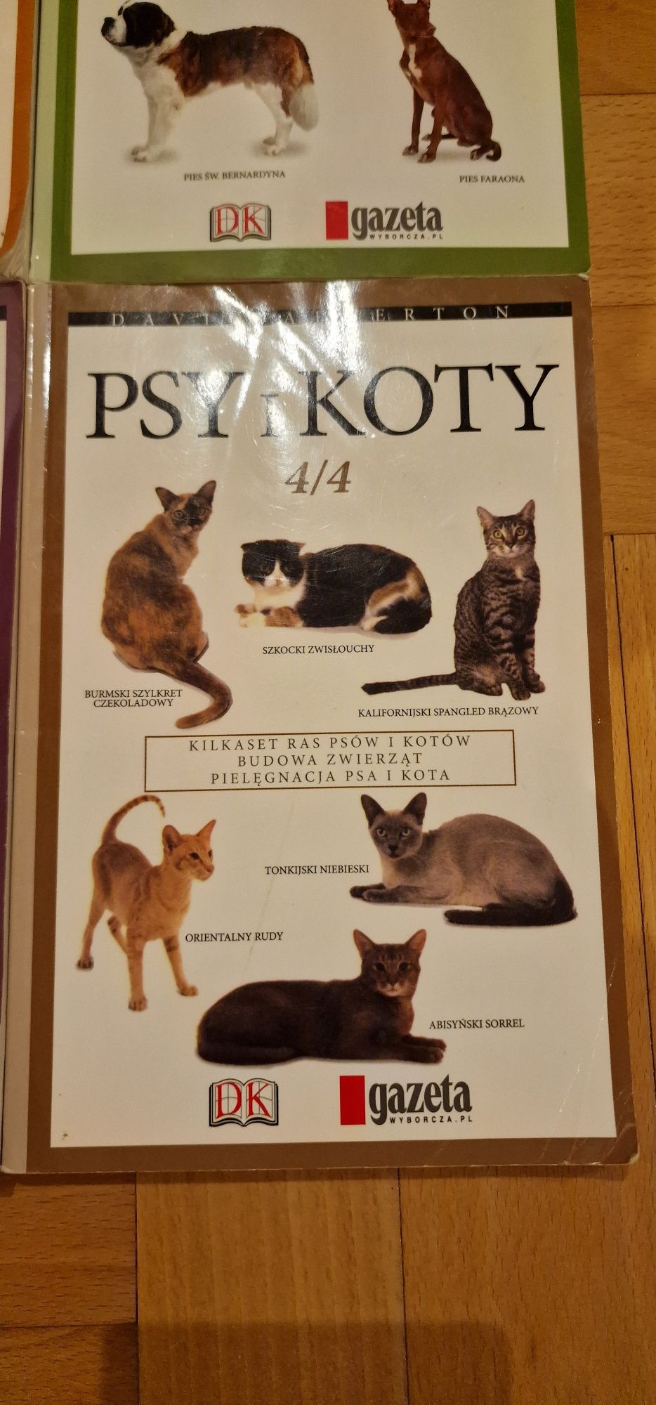 Seria książek o kotach i psach