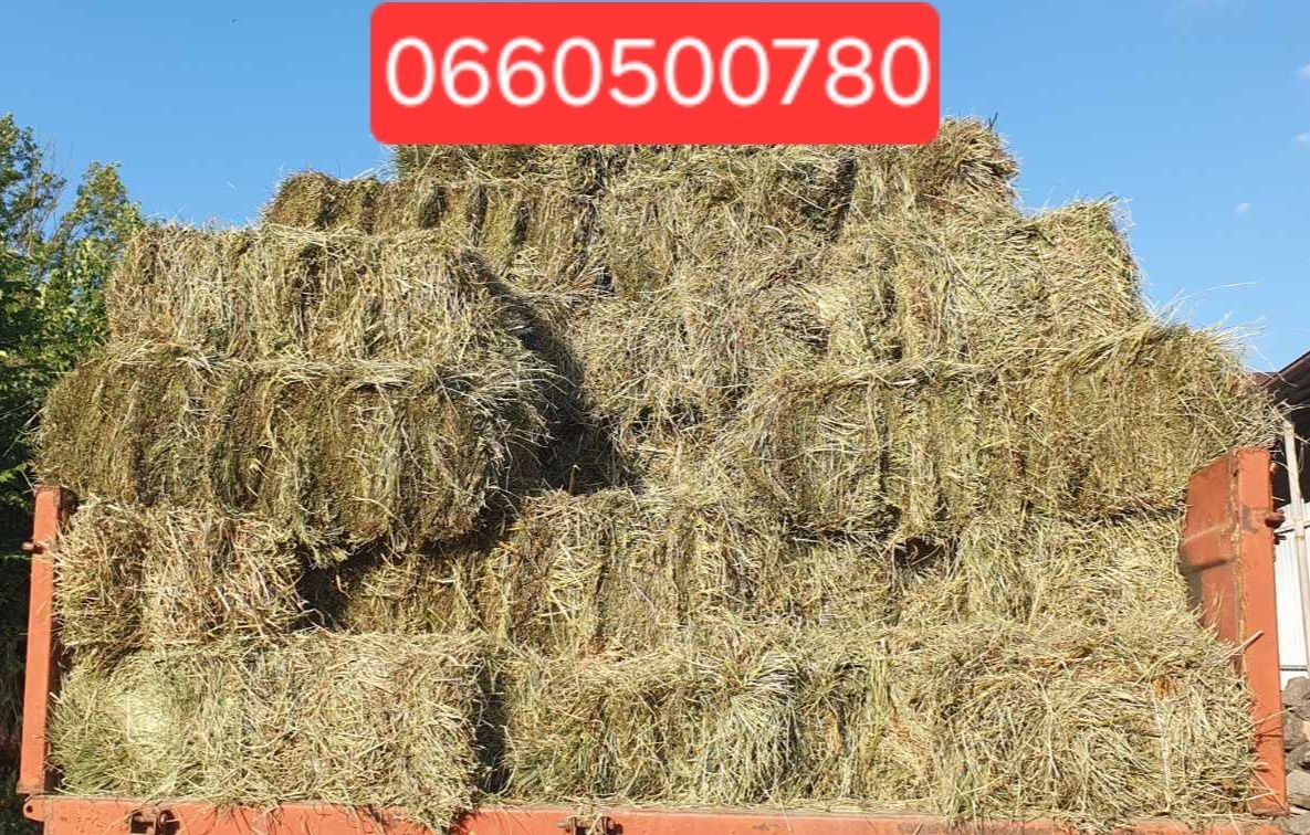 Продам лугове сіно