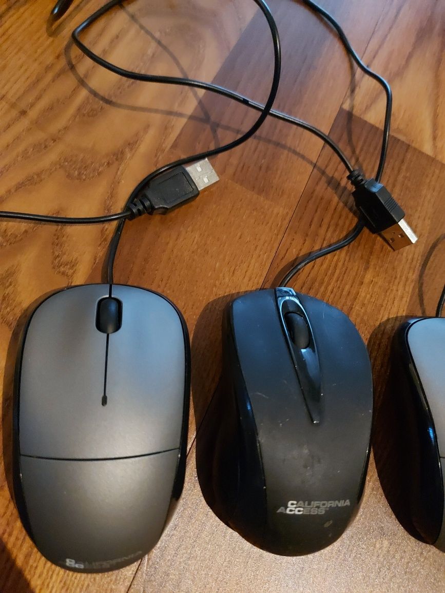 Mysz myszka komputerowa California Access 18 sztuk