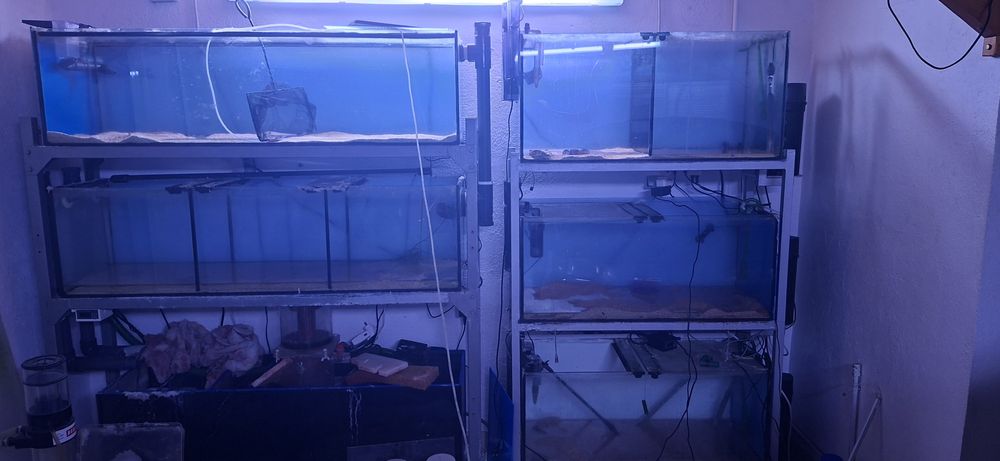 Aquários e estruturas