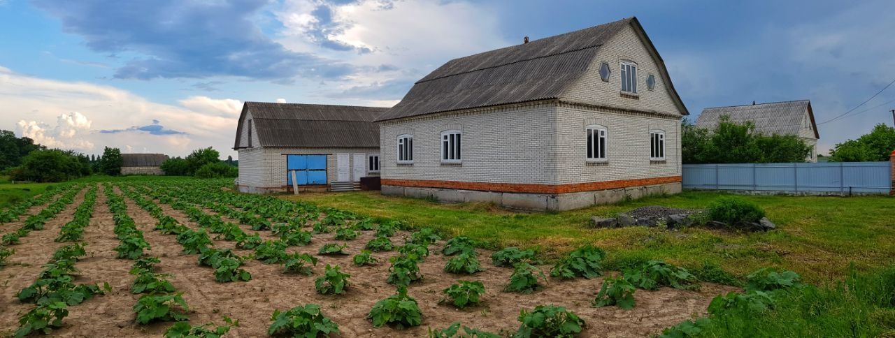 Продається будинок в селі Флорино