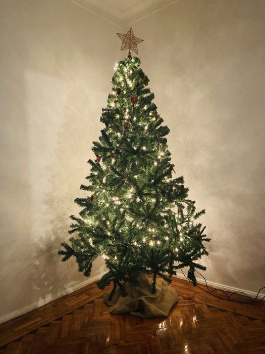 Arvore natal verde como nova