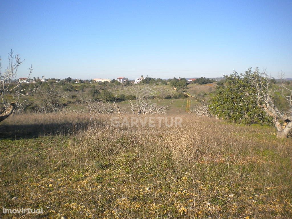 Terreno com ruína nos Álamos, Albufeira, Algarve