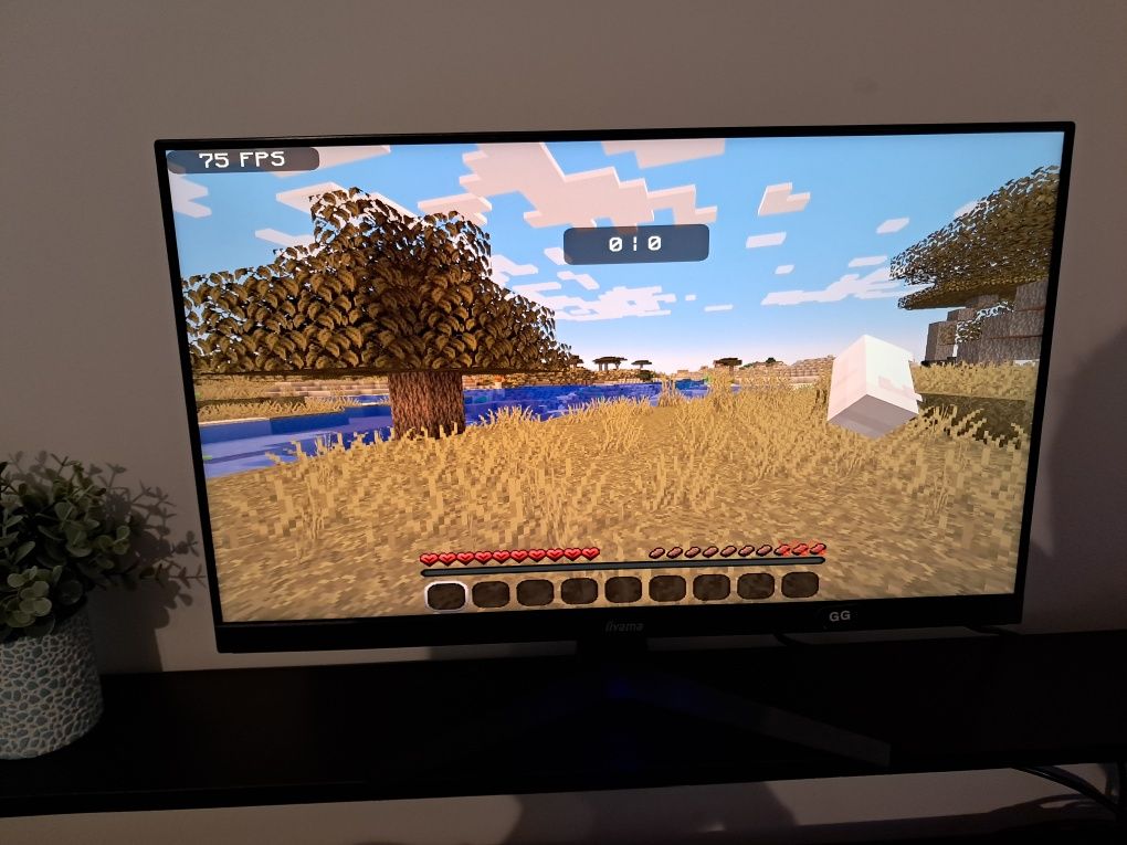 Monitor gamingowy 24" iiyama