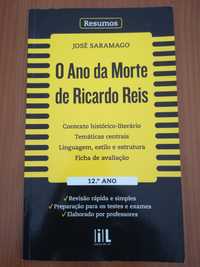 O ano da morte de Ricardo Reis (resumos)