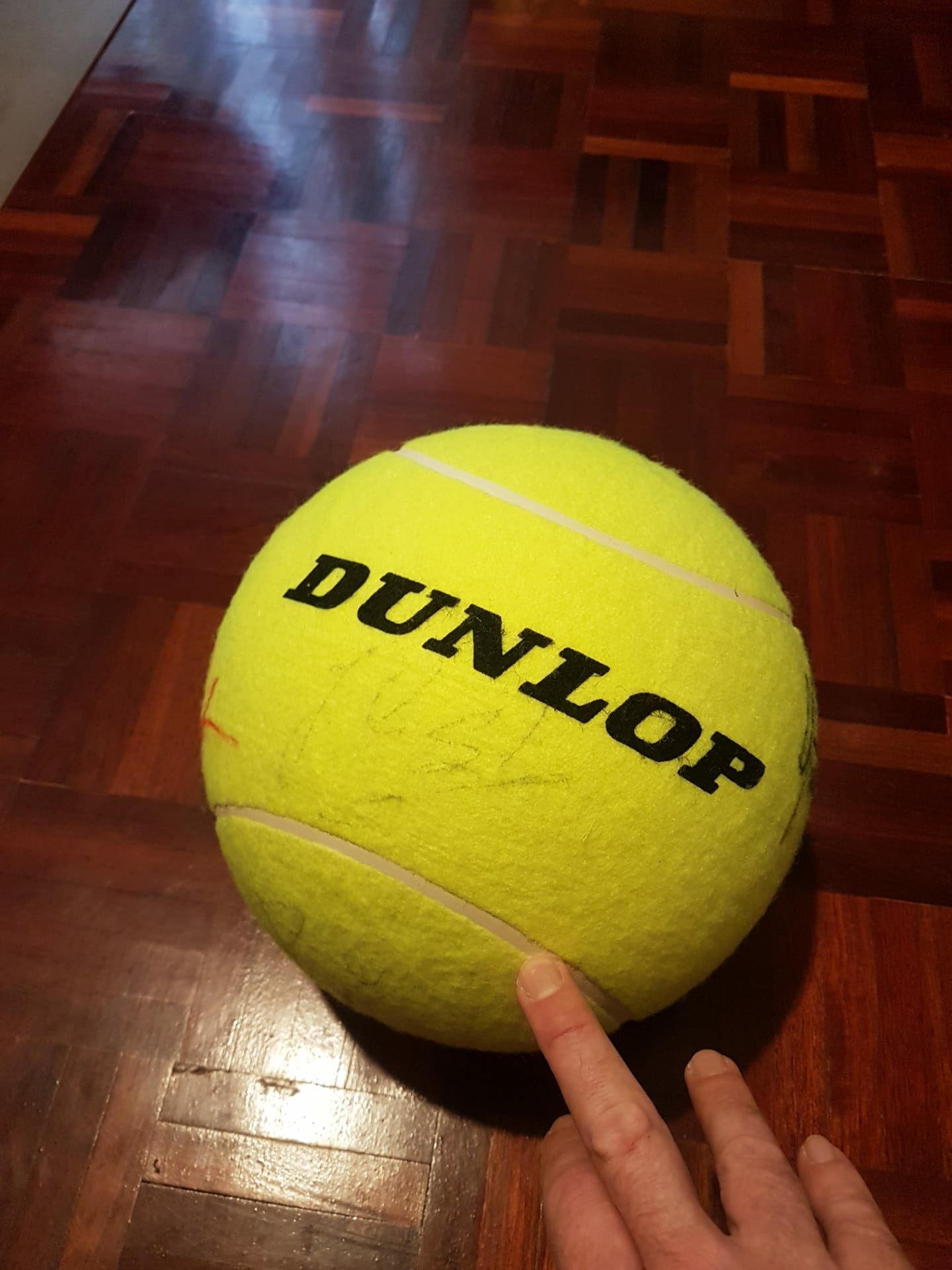 Bola de teenis  tenis dunlop tamanho grande