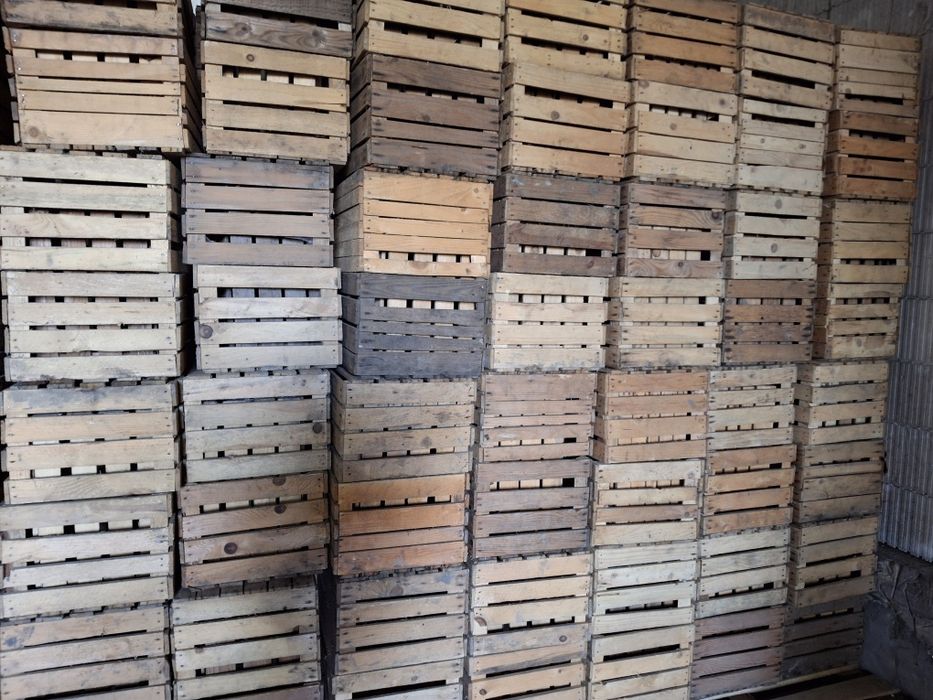 Продам ящики кубарики