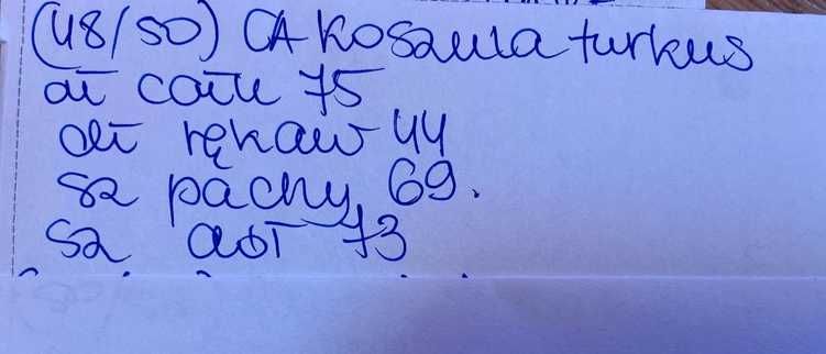 Xxxl c&a morska turkus koszula oversize +size 48 50 wiosna mięta