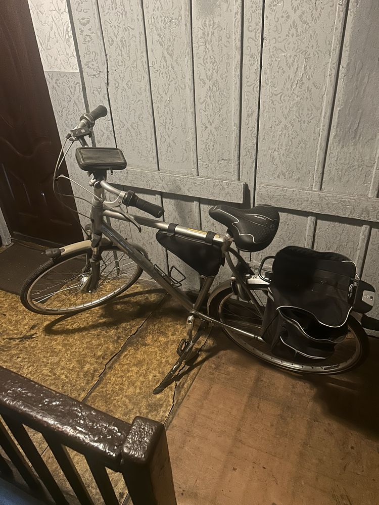 Gazelle orange 120