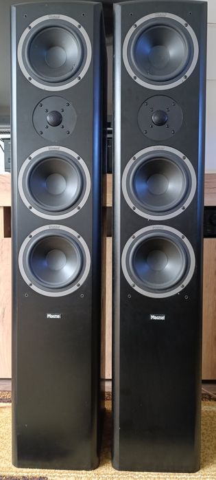 Kolumny podłogowe magnat Vector 77