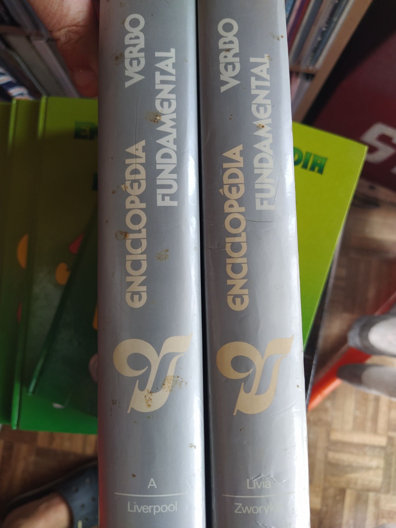 Enciclopédia infantil ilustrada / Enciclopédia Fundamental Verbo