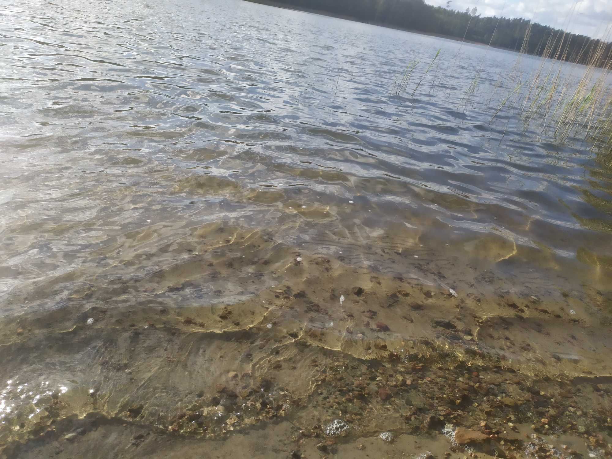 Dom nad jeziorem w 1 linii zabudowy, łódka, pomost z linią brzegową