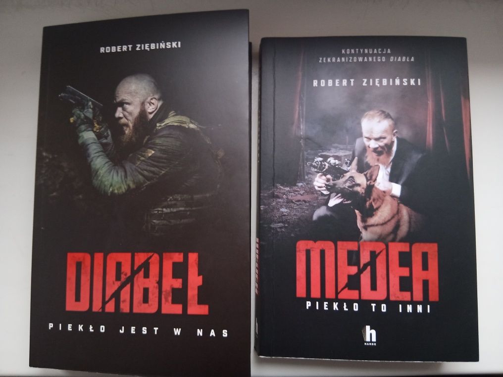 Diabeł i Medea - Robert Ziębiński