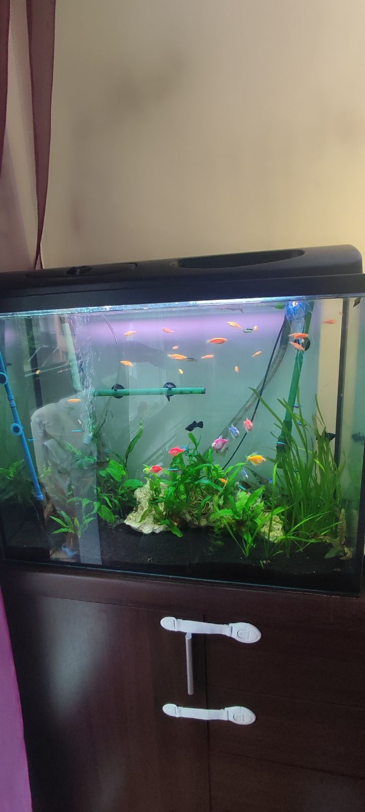 Sprzedam akwarium 170l z filtrem