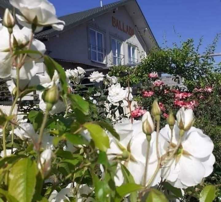 Pokoje do wynajęcia Agroturystyka Hotel