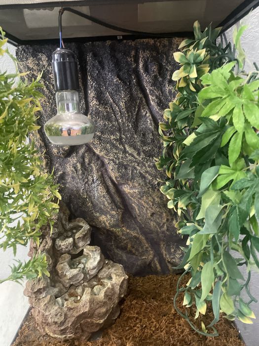 Терариум Exo Terra +фонтан+светильник Exo Terrа+декор 3шт.+гигрометр