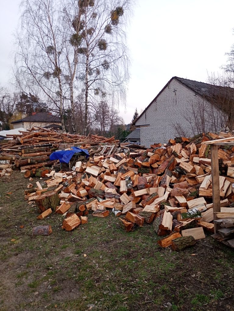 Drzewo drewno sosna