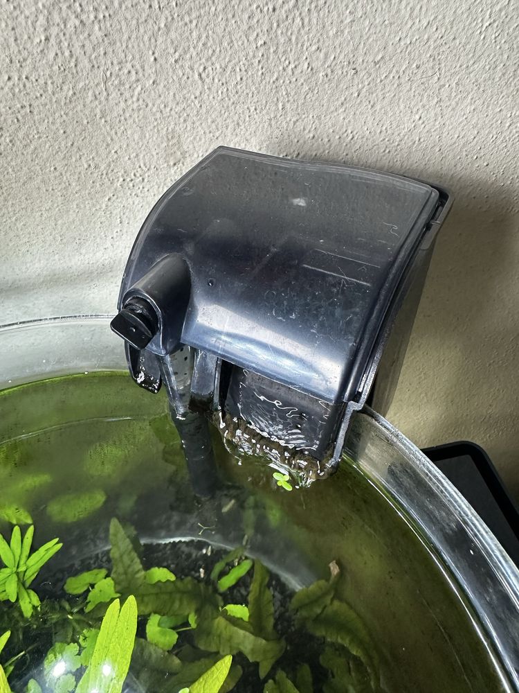 Aquario completo