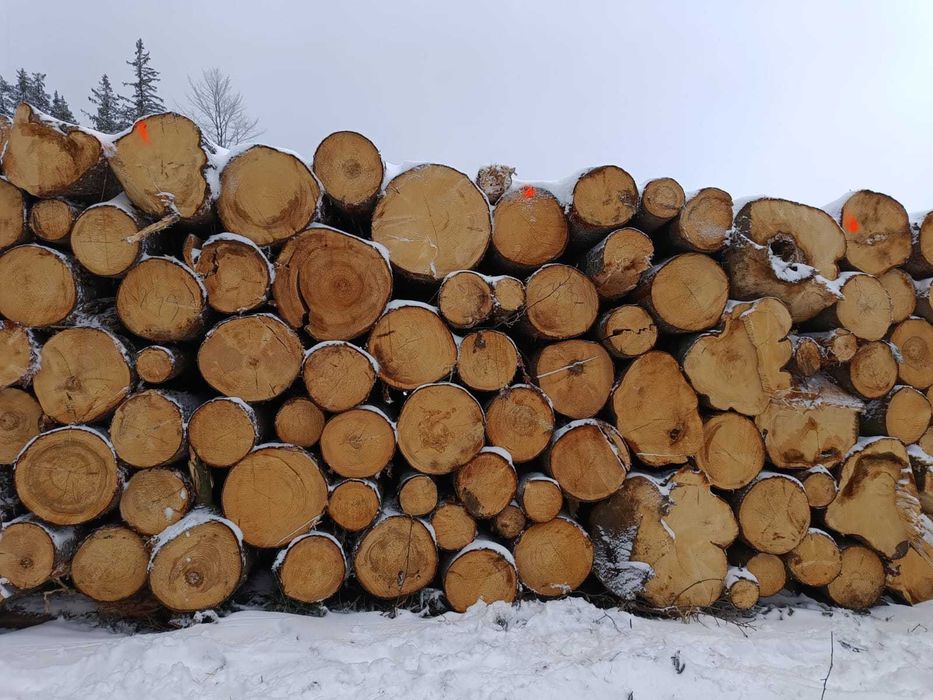 Wielka promocja drewno opalowe pociete rabane gotowe