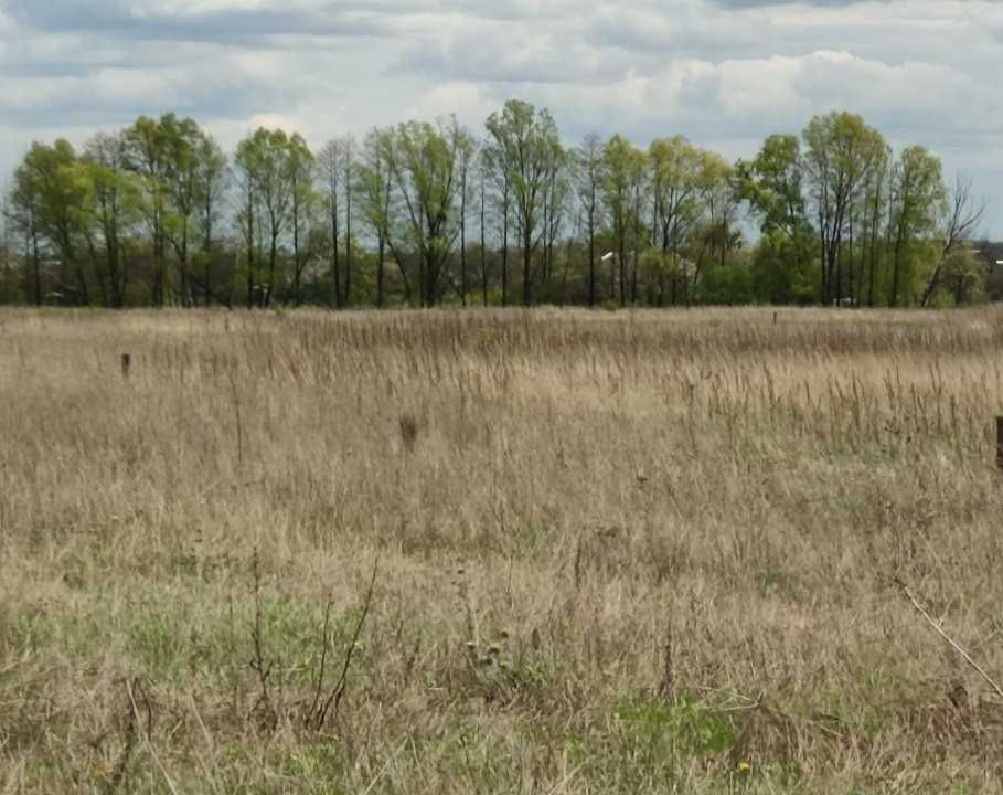 Продаж ділянки 20сот ОСГ. Фасад 40м.Комунікації-500м.Новий масив.ID:82