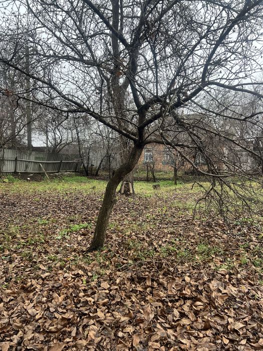 Продаєтся дім в Гадячі