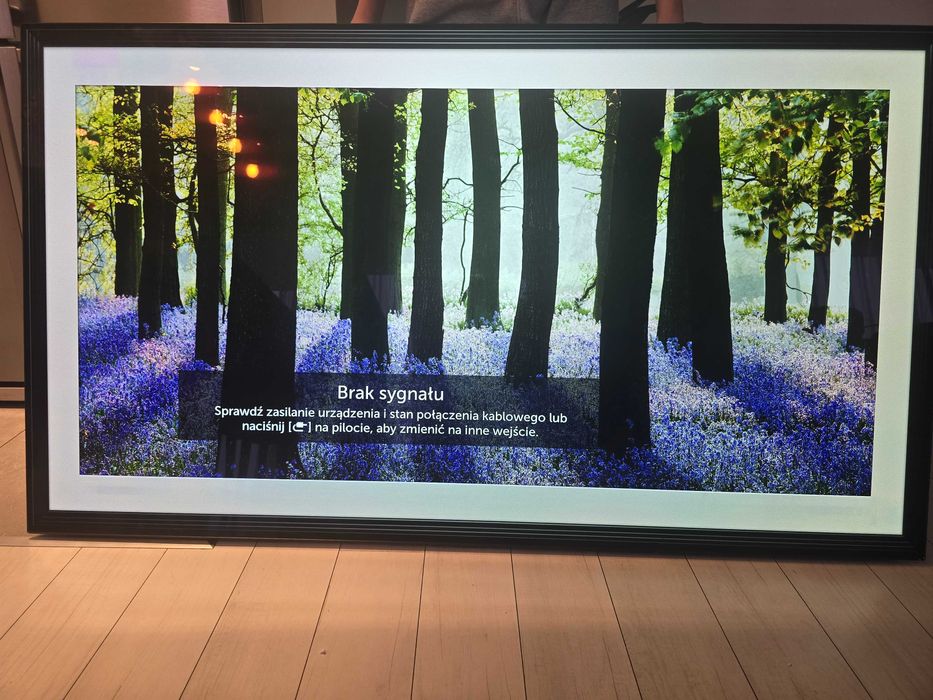 Telewizor  LG OLED 65 cali