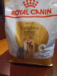 karma dla YORKA royal canin