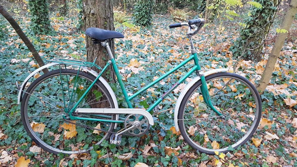 Rower ukraina amsterdam damka