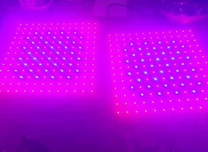 Фитолампа Фітолампа фитопанель LED для растений для рослин