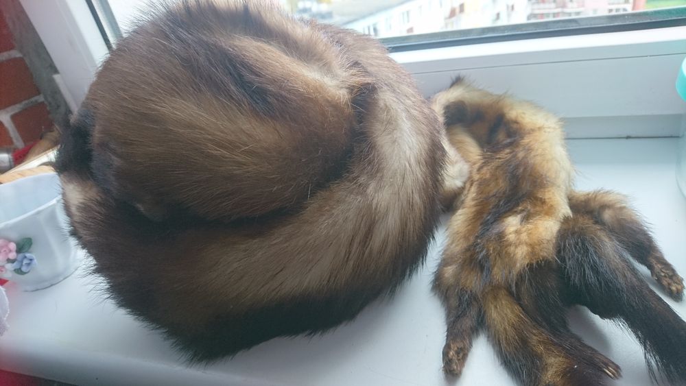 Czapka z szalem tchurzofretki czy lisa